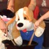 SAM_5226