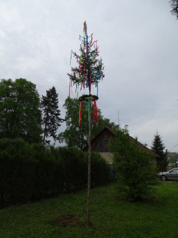 DSC01384