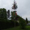DSC01384