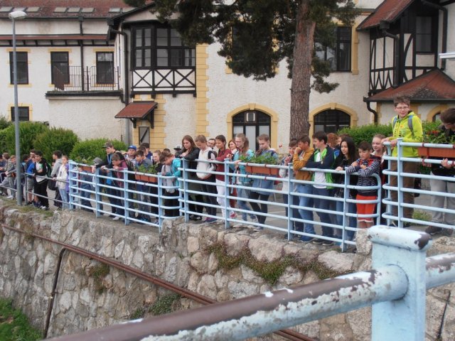 P1010290