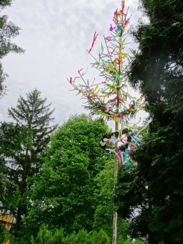 DSC03329