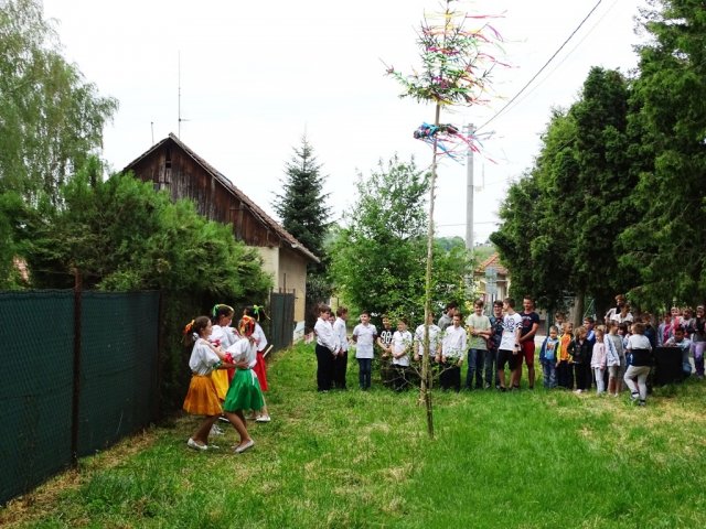 DSC03336