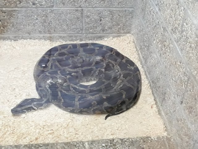 20180517_094049