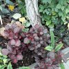 20180517_103834