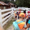 IMG_20180613_091842