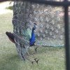 20180601_124328