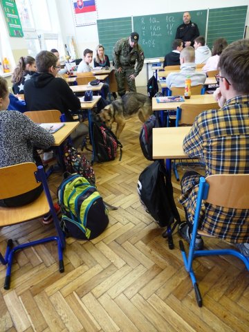 DSC04619