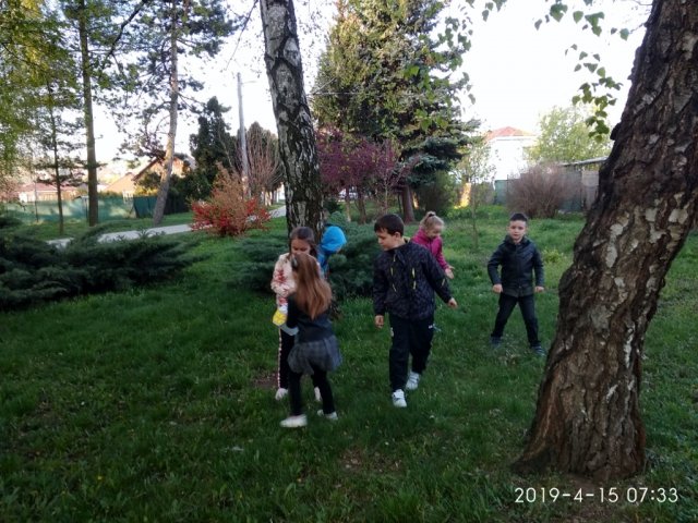 IMG_20190415_073337_1024x768