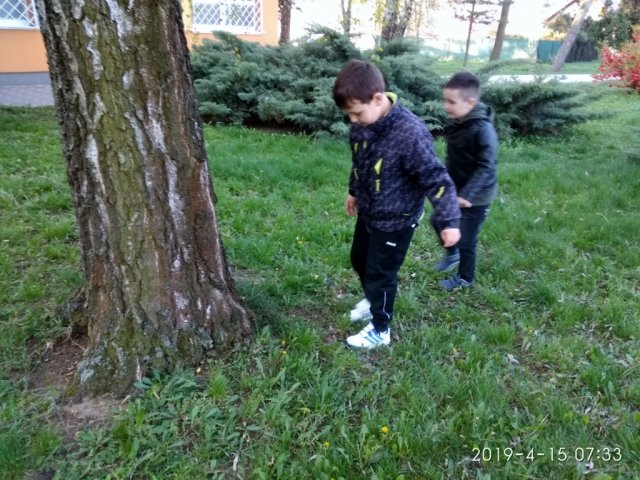 IMG_20190415_073352_1024x768