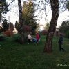 IMG_20190415_073327_1024x768