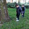 IMG_20190415_073352_1024x768