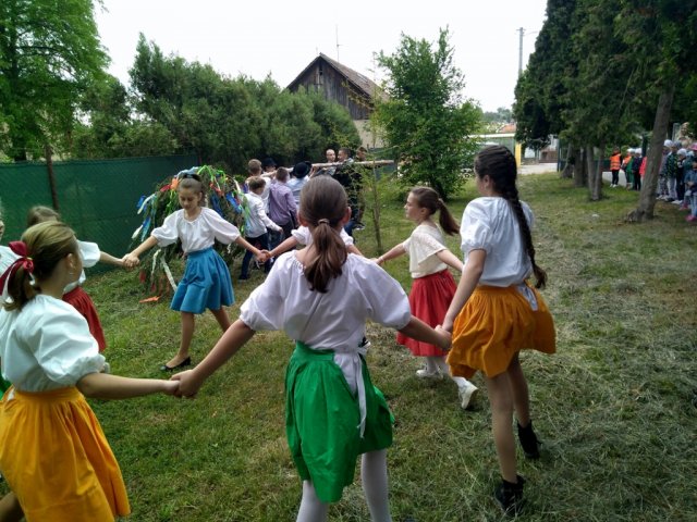 IMG_20190430_101423_1024x768
