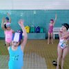 IMG_20190611_102048_1024x757