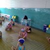 IMG_20190611_102208_1024x709