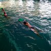 IMG_20190611_104025_1024x765