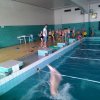 IMG_20190626_101438_1024x749