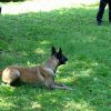 DSC05604_1024x754