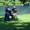 DSC05612_1024x768