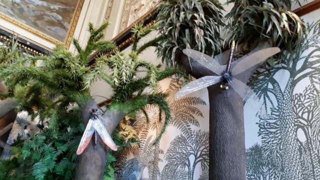 20190621_121526_1024x576
