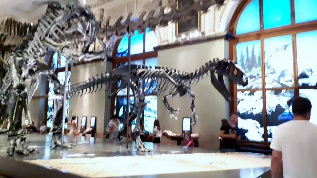 20190621_122436_1024x576
