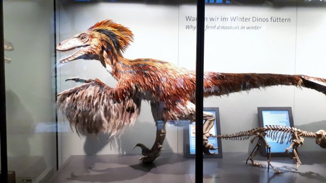 20190621_122534_1024x576