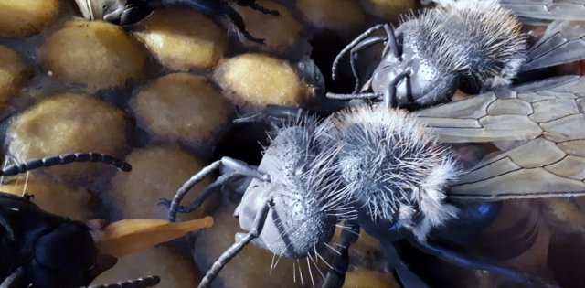 20190621_124541_1024x504