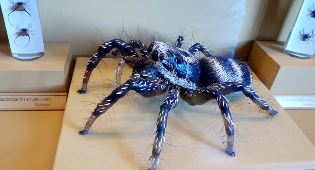 20190621_124617_1024x554