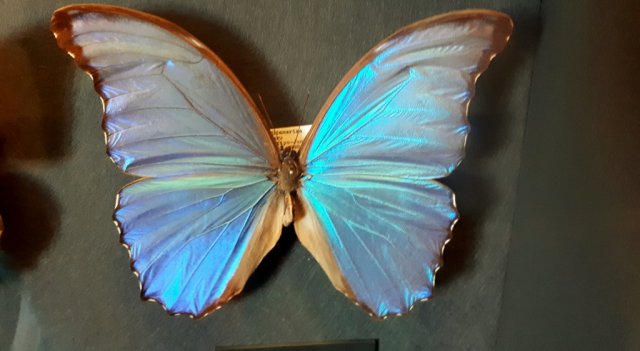 20190621_124728_1024x563