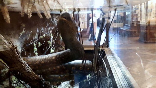 20190621_1257390_1024x575