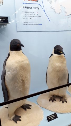 20190621_130126_576x1024