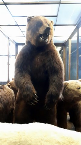 20190621_131248_572x1024