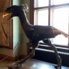 20190621_122104_1024x566