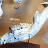 20190621_122257_1024x553