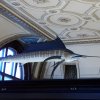 20190621_125421_1024x557