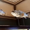 20190621_125432_1024x478