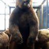 20190621_131248_572x1024